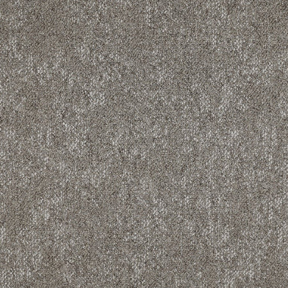Sample Of Zetex Titanium Classic Fossil