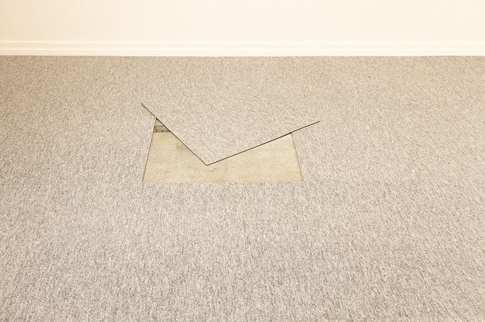 Zetex Puma - Argent Silver