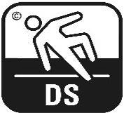 DS logo
